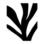 Hvammsvik Optimized - partner logo