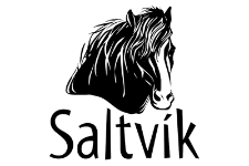 Saltvik Optimized - partner logo